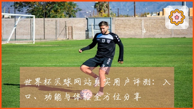 世界杯买球网站真实用户评测：入口、功能与体验全方位分享
