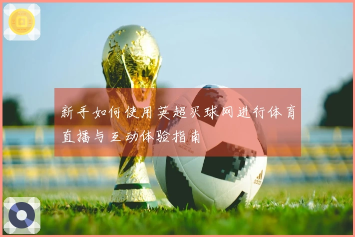 新手如何使用英超买球网进行体育直播与互动体验指南