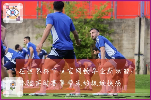 在世界杯下注官网畅享全新功能，体验实时赛事带来的极致快感