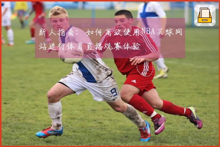 新人指南：如何高效使用NBA买球网站进行体育直播观赛体验