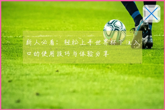 新人必看：轻松上手世界杯下注入口的使用技巧与体验分享