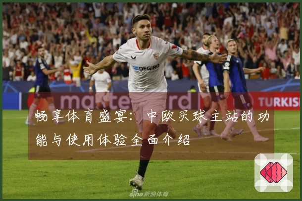 畅享体育盛宴：中欧买球主站的功能与使用体验全面介绍
