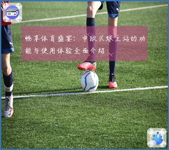 畅享体育盛宴：中欧买球主站的功能与使用体验全面介绍