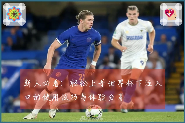 新人必看：轻松上手世界杯下注入口的使用技巧与体验分享